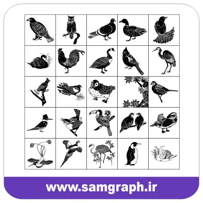 دانلود طرح وکتور انواعی از پرندگان - download birds vector
