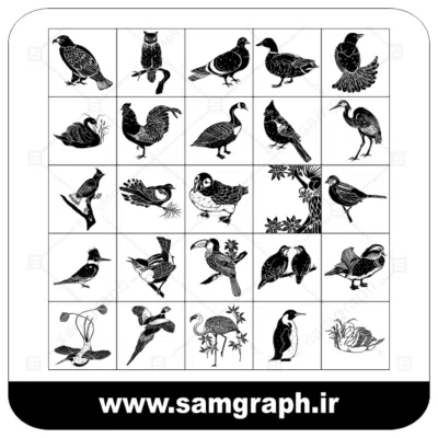 دانلود طرح وکتور پک انواعی از پرندگان - Download birds pack Vector