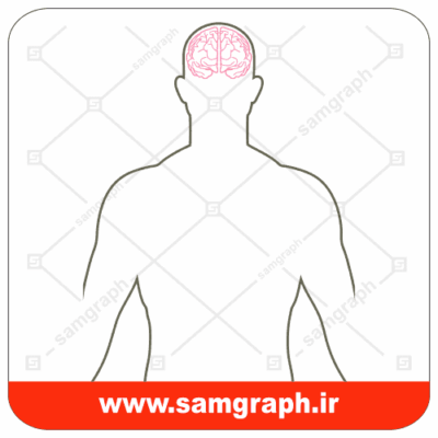 وکتور مغز در بدن - brain in body