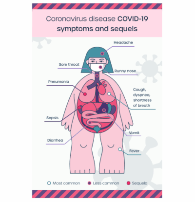 طرح وکتور آناتومی بدن خانم ها - آموزش اعضای داخلی بدن
