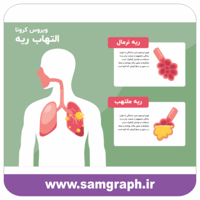 طرح وکتور ریه سالم و ملتهب - ویروس کرونا