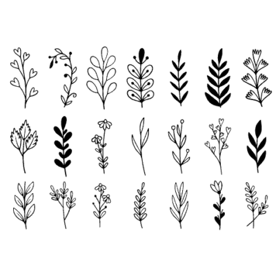 وکتور طرح انواع مختلف شاخه ، گیاه ، گل و برگ
