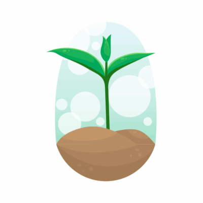 وکتور جوانه تازه بیرون زده از خاک - رشد و نمو گیاه