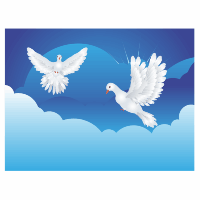 وکتور کبوتر سفید صلح - پرواز در آسمان
