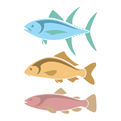 mahi daryayi khoraki fals vector 1 وکتور ماهی های آبزی دریایی - گوشت سفید - ماهی جنوب