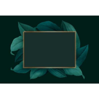 دانلود طرح وکتور فریم و قاب خالی سبز و حاشیه طلایی - فریم خالی برگ سبز