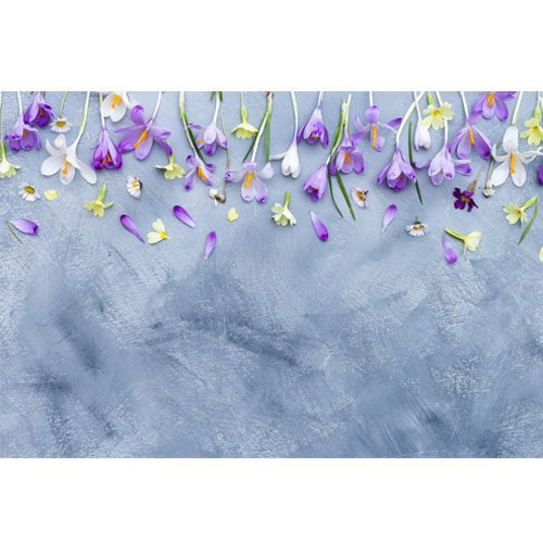vertical gray white background with purple white spring flowers 1