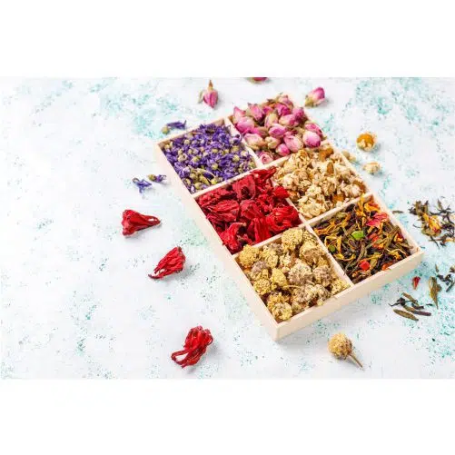 عکس با کیفیت سرتاس گیاهان دارویی - گل محمدی - بنفشته - انواع دمنوش 1 assortment dry tea golden vintage mini plates tea types 1 عکس با کیفیت سرتاس گیاهان دارویی