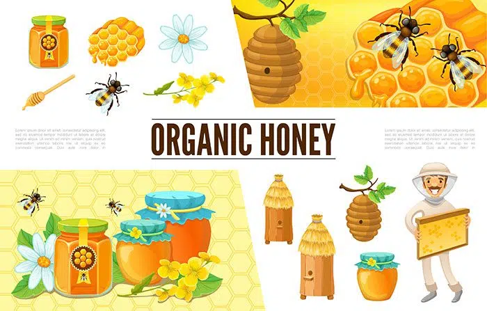 cartoon beekeeping composition with beekeeper hive bees camomile flower honeycombs stick 1 1 طرح وکتور آماده زنبور دار - اینفوگرافی عسل و فروشگاه عسل و کندو