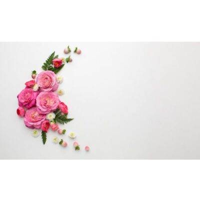 حاشیه و گوشه با گل رز