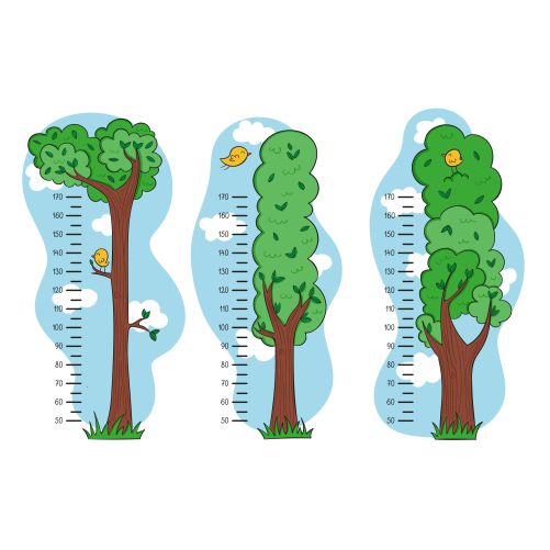 cute drawn height meters illustrated 1 فصل ها-درخت-بهار-تابستان-پاییز-زمستان-برگ-گیاه-برف-گل-وکتور-تصویر