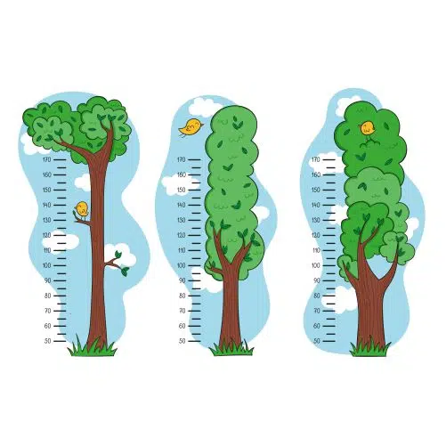cute drawn height meters illustrated 1 طرح وکتور سنجش قد کودکان