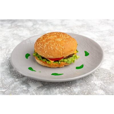 عکس با کیفیت همبرگر داخل بشقاب