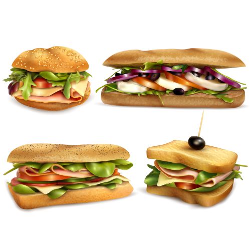 healthy fresh ingredient sandwiches realistic set 1 طرح وکتور ساندویچ و همبرگر