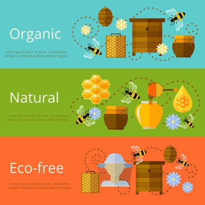 honey beekeeping natural eco sugar banners 1 e1619986389345 بنر آماده تولید عسل طبیعی - طرح وکتور عسل فروشی - کندو زنبور - زنبور دار
