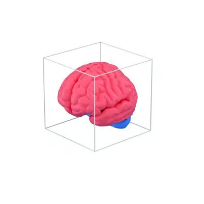 icon 3d collections 09 1 آیکون سه بعدی مغز