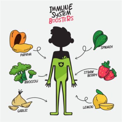 طرح وکتور اینفوگرافی بدن سالم و انواع میوه ها