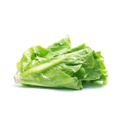 lettuce 1 عکس با کیفیت 2 عدد کاهو با زمینه سفید