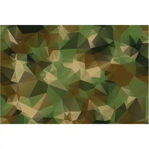 low poly style camouflage pattern texture background 1 Security fence