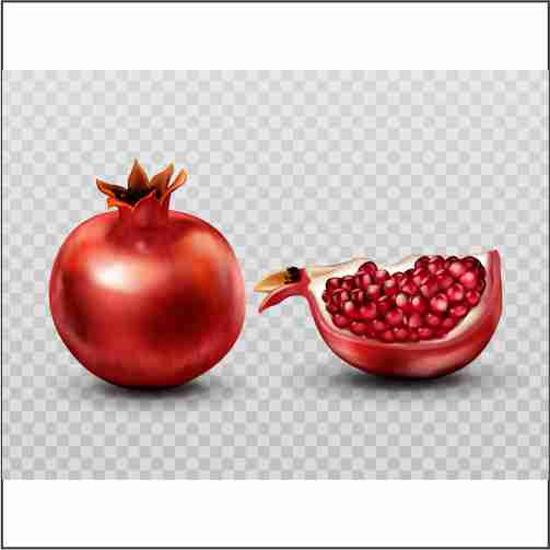 pomegranate whole slice with seeds isolated 1 وکتور با کیفیت انارس سر باز و سر بسته