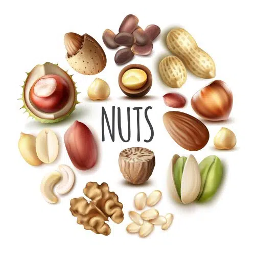 realistic nuts round concept with nutmeg walnut almond 1 وکتور و آیکون رنگارنگ انواع غذا ها