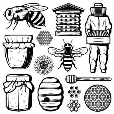 مجموعه طرح وکتور عناصر عسل زنبور گل کندو شیشه عسل ملکه غلاف و تخته کندو