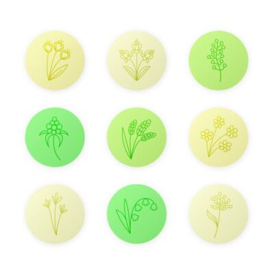 مجوعه وکتور کاور برگ و گل برگ مخصوص اینستاگرام