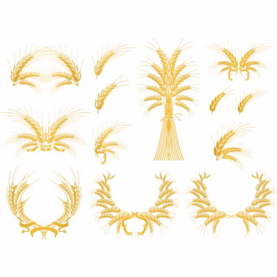 طرح وکتور خوشه های گندم طلایی - کادر - حاشیه