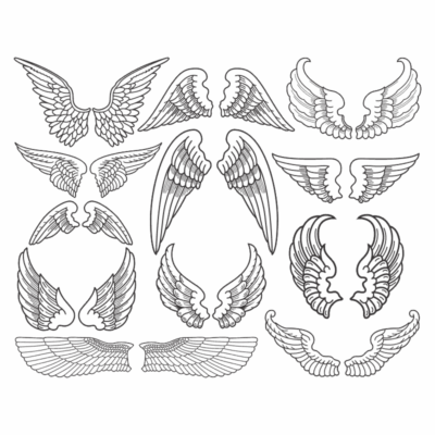 طرح وکتور بال - پر و پرواز