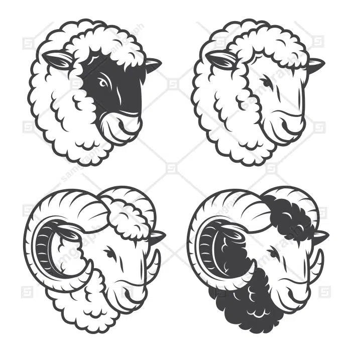 4 sheeps rams heads monochrome isolated white background 1 طرح وکتور ست پروتئین و گوشت - ران گوسفند - مرغ - جگر گوسفند