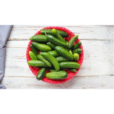 طرح عکس با کیفیت محصول کشاورزی - خیار - 13