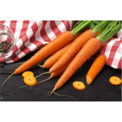 طرح محصول کشاورزی - هویج - 26