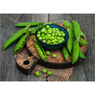 طرح محصول کشاورزی - نخود فرنگی - 32