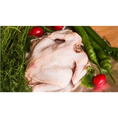 طرح مرغ و سبزیجات - 19