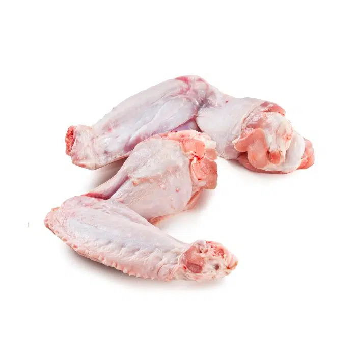 Turkey Wings 2 1 ویزیت-حرفه ای-با-عکس-شهر