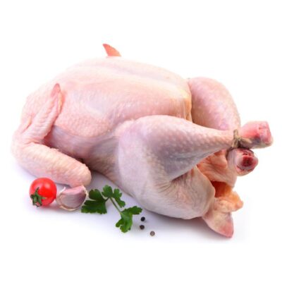 عکس مرغ کامل بزرگ