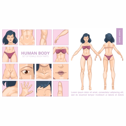 cartoon female body parts composition 1