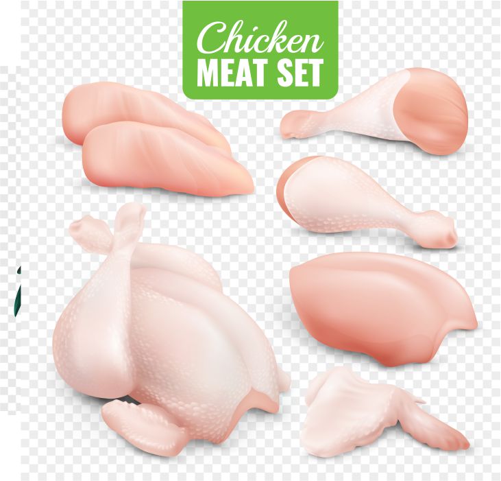 chicken meat transparent icon set 1 پوستر-با-زنارت-نقش-خروس