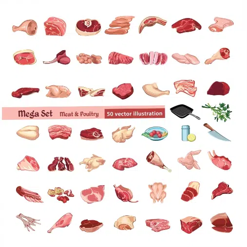 colored poultry meat elements set 1 طرح وکتور ست پروتئین و گوشت - ران گوسفند - مرغ - جگر گوسفند