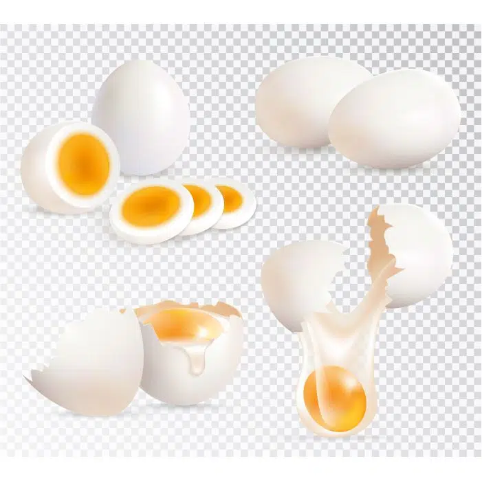 eggs realistic set 1 عکس گوشت بره -1