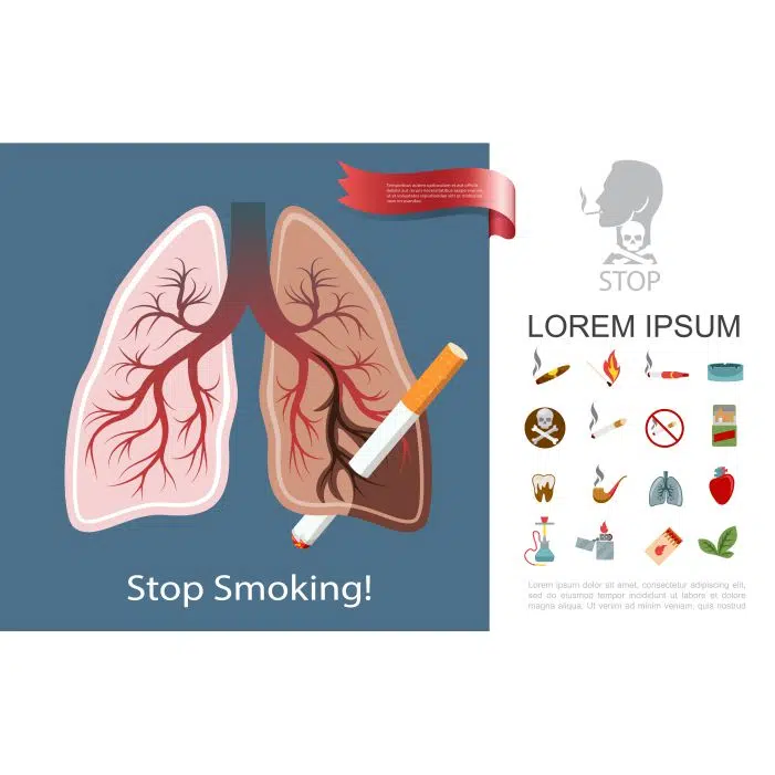 flat smoking addiction composition with smoker lungs cigarettes cigar pipe 1 طرح وکتور ریه - سیگار کشیدن - ترک اعتیاد - سیگار