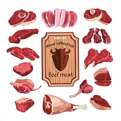 طرح وکتور ست مواد پروتئینی - وکتور فیله راسته ران سر دست شقه گوساله