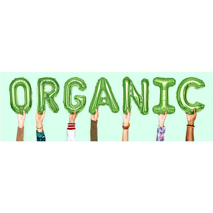 hands showing organic balloons word 1 طرح وکتور حروف الفبای گل رز