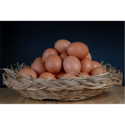 عکس تخم مرغ محلی در سبد
