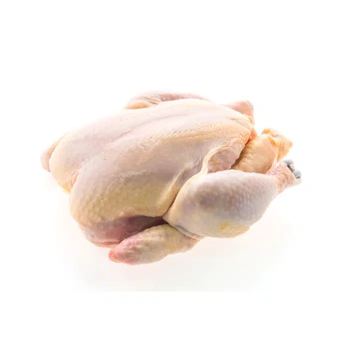 raw chicken meat 1 عکس گوشت مرغ خام تازه