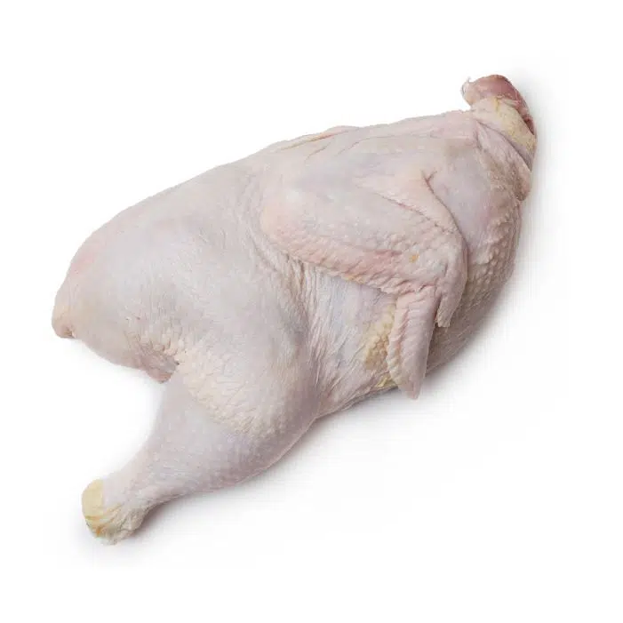 raw chicken meat2 1 طرح وکتور ست پروتئین و گوشت - ران گوسفند - مرغ - جگر گوسفند