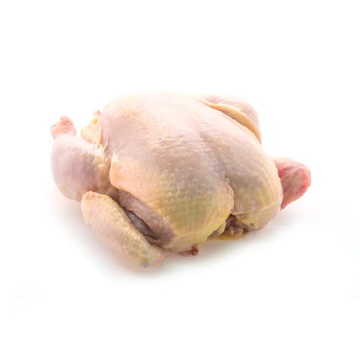 عکس مرغ خام کامل 1 raw whole chicken 1 عکس مرغ خام کامل