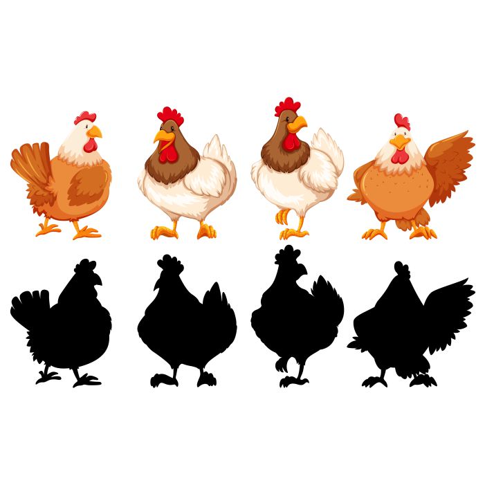 silhouette color outline version chickens 1 پوستر-با-زنارت-نقش-خروس