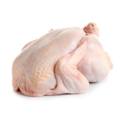 عکس بوقلمون کامل -1