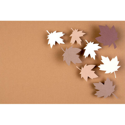 عکس مجموعه برگ های پاییزی با سبک کاغذی